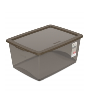 ORGANIZADOR COM TAMPA 60 L CAMURÇA